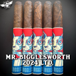 Load image into Gallery viewer, MR. BIGGLESWORTH 2025 Ltd.