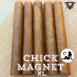 Load image into Gallery viewer, CHICK MAGNET 2025 LIMITED EDITION