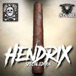 Load image into Gallery viewer, HendriX FoXxy Lady