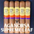Load image into Gallery viewer, AGANORSA SUPREME LEAF CABEZA REDONDA
