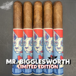 Load image into Gallery viewer, MR. BIGGLESWORTH 2025 Ltd.