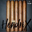 Load image into Gallery viewer, HendriX FoXxy Lady