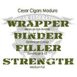 Load image into Gallery viewer, Cesar Cigars Maduro WBFS