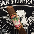 Load image into Gallery viewer, Sabor de Esteli Maduro