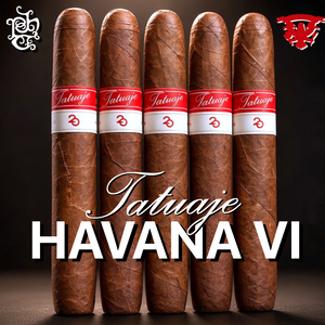 TATUAJE HAVANA VI