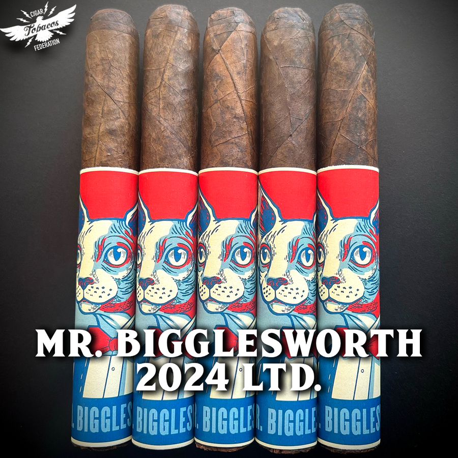 MR. BIGGLESWORTH 2024 Ltd.