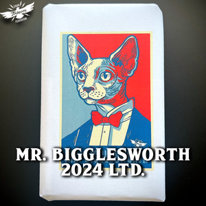 MR. BIGGLESWORTH 2024 Ltd.