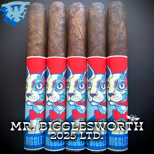 MR. BIGGLESWORTH 2025 Ltd.