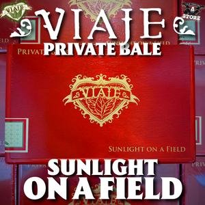 VIAJE PRIVATE BALE SUNLIGHT ON A FIELD