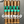 GREENGO 2024 Color Project - Cigar Federation