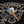 1502 Blue Sapphire - Cigar Federation