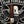 262 Paradigm - Cigar Federation