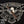 262 Revere - Cigar Federation