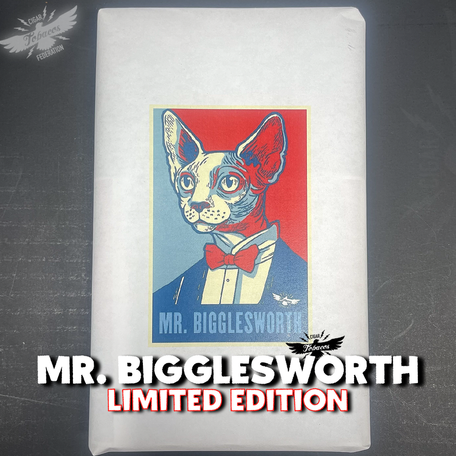MR. BIGGLESWORTH Dark Edition