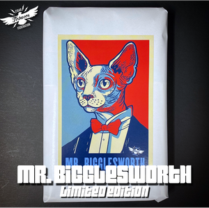 MR. BIGGLESWORTH 2025 Ltd.