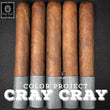 Load image into Gallery viewer, Color Project: CRAY CRAY
