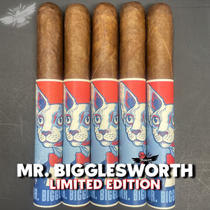 MR. BIGGLESWORTH 2025 Ltd.