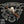 Black Label Trading Company Salvation VINTAGE - Cigar Federation