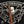 Cabal Cigars Cabal - Cigar Federation