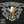 Cain Daytona - Cigar Federation