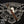 CALDWELL THE LAST TSAR - Cigar Federation