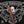 Crowned Heads Headley Grange - Cigar Federation