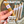 DUNBARTON STFU Sampler - Cigar Federation