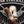 Guayacan Sabor de Esteli Habano - Cigar Federation