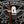 Illusione 2 - Cigar Federation