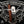 Illusione 88 MADURO VINTAGE - Cigar Federation