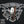 Illusione cg:4 - Cigar Federation
