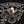 Illusione Cigars Prive - Cigar Federation