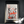 KING OF SPADES 2024 Ltd. - Cigar Federation