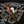 ohana - friends - family - reserva - limitada - Cigar Federation