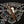 Surrogates Crystal Baller - Cigar Federation
