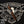 Surrogates Tramp Stamp - Cigar Federation