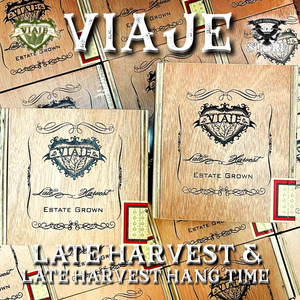 VIAJE LATE HARVEST & HANG TIME 2021 - Cigar Federation